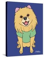 Pomeranian-Tomoyo Pitcher-Stretched Canvas