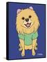 Pomeranian-Tomoyo Pitcher-Framed Stretched Canvas