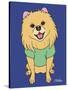 Pomeranian-Tomoyo Pitcher-Stretched Canvas