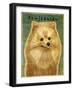 Pomeranian-John W Golden-Framed Giclee Print