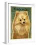 Pomeranian-John W Golden-Framed Giclee Print