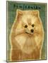 Pomeranian-John W Golden-Mounted Giclee Print