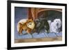 Pomeranians, Maltese Terrier-null-Framed Art Print