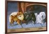 Pomeranians, Maltese Terrier-null-Framed Art Print