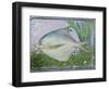 Pomfret, tagliatelle, tarragon & spring onion, 1990-Norman Hollands-Framed Photographic Print