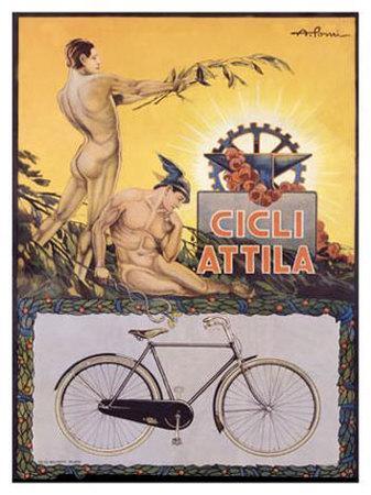 Cicli Attila