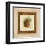 Pomme de Pin I-Vincent Jeannerot-Framed Art Print