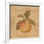 Pomme-Deborah Devellier-Framed Art Print