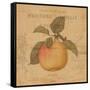 Pomme-Deborah Devellier-Framed Stretched Canvas