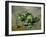 Pommes vertes, green apples, around 1873 Canvas, 26 x 32 cm R. F.1954-6.-Paul Cezanne-Framed Giclee Print