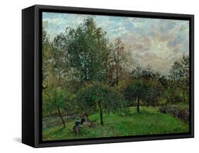 Pommiers et peupliers au soleil couchant-Apple trees and poplars in a sunset, 1901.-Camille Pissarro-Framed Stretched Canvas