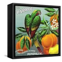 Pomona, California, The Parrot Brand Citrus Label-Lantern Press-Framed Stretched Canvas