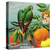 Pomona, California, The Parrot Brand Citrus Label-Lantern Press-Stretched Canvas