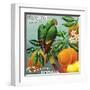 Pomona, California, The Parrot Brand Citrus Label-Lantern Press-Framed Art Print