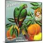 Pomona, California, The Parrot Brand Citrus Label-Lantern Press-Mounted Art Print