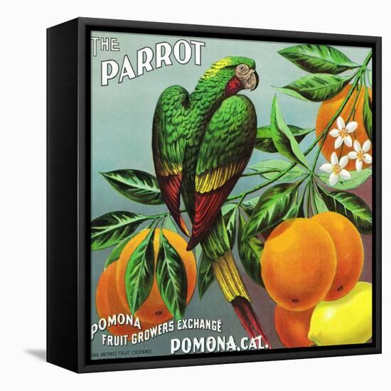 Pomona, California, The Parrot Brand Citrus Label-Lantern Press-Framed Stretched Canvas