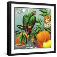 Pomona, California, The Parrot Brand Citrus Label-Lantern Press-Framed Art Print