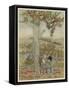 Pomona, Roman Goddess of Fruitful Abundance-Arthur Rackham-Framed Stretched Canvas