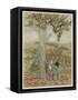 Pomona, Roman Goddess of Fruitful Abundance-Arthur Rackham-Framed Stretched Canvas