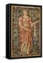 Pomona-Edward Burne-Jones-Framed Stretched Canvas