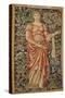 Pomona-Edward Burne-Jones-Stretched Canvas