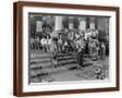 Brown Frame