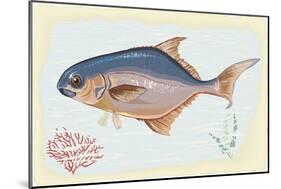 Pompano Fish on Retro Style Background-Milovelen-Mounted Art Print