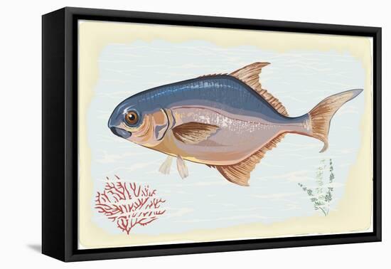 Pompano Fish on Retro Style Background-Milovelen-Framed Stretched Canvas