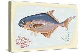 Pompano Fish on Retro Style Background-Milovelen-Stretched Canvas