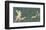 Pompeian Art - Putto Cocciatore-null-Framed Premium Giclee Print