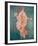 Pompeii Fresco II-The Vintage Collection-Framed Giclee Print