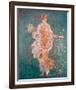 Pompeii Fresco II-The Vintage Collection-Framed Giclee Print