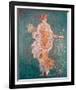 Pompeii Fresco II-The Vintage Collection-Framed Giclee Print