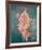 Pompeii Fresco II-The Vintage Collection-Framed Giclee Print