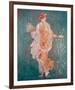 Pompeii Fresco II-The Vintage Collection-Framed Giclee Print