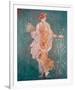 Pompeii Fresco II-The Vintage Collection-Framed Giclee Print