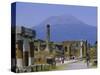 Pompeii, Mt. Vesuvius Behind, Campania, Italy, Europe-Anthony Waltham-Stretched Canvas