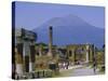 Pompeii, Mt. Vesuvius Behind, Campania, Italy, Europe-Anthony Waltham-Stretched Canvas
