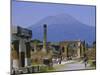 Pompeii, Mt. Vesuvius Behind, Campania, Italy, Europe-Anthony Waltham-Mounted Photographic Print