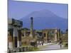 Pompeii, Mt. Vesuvius Behind, Campania, Italy, Europe-Anthony Waltham-Mounted Photographic Print