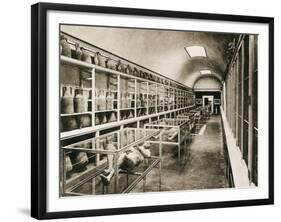 Pompeii Museum, Pompeii, Italy, C1900s-null-Framed Giclee Print