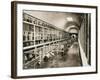 Pompeii Museum, Pompeii, Italy, C1900s-null-Framed Giclee Print