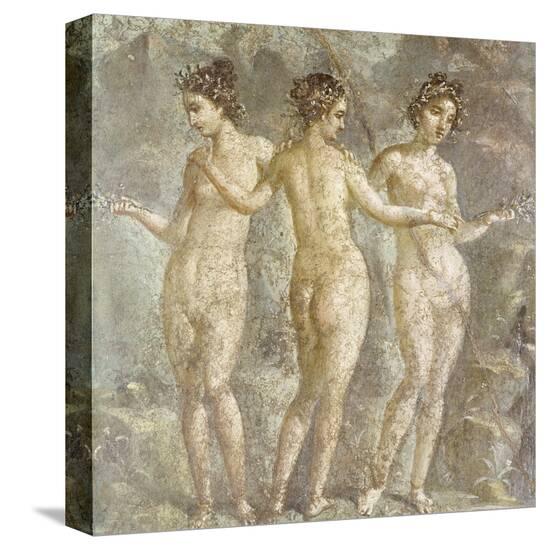 Stretched Canvas Print, , large