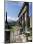 Pompeii, Unesco World Heritage Site, Campania, Italy-James Emmerson-Mounted Photographic Print