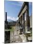 Pompeii, Unesco World Heritage Site, Campania, Italy-James Emmerson-Mounted Photographic Print