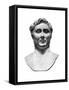 Pompeius Magnus, Roman Military and Political Leader-null-Framed Stretched Canvas