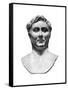 Pompeius Magnus, Roman Military and Political Leader-null-Framed Stretched Canvas