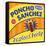 Poncho Sanchez - Instant Party-null-Framed Stretched Canvas