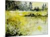 Pond 2005-Pol Ledent-Mounted Art Print