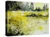 Pond 2005-Pol Ledent-Stretched Canvas